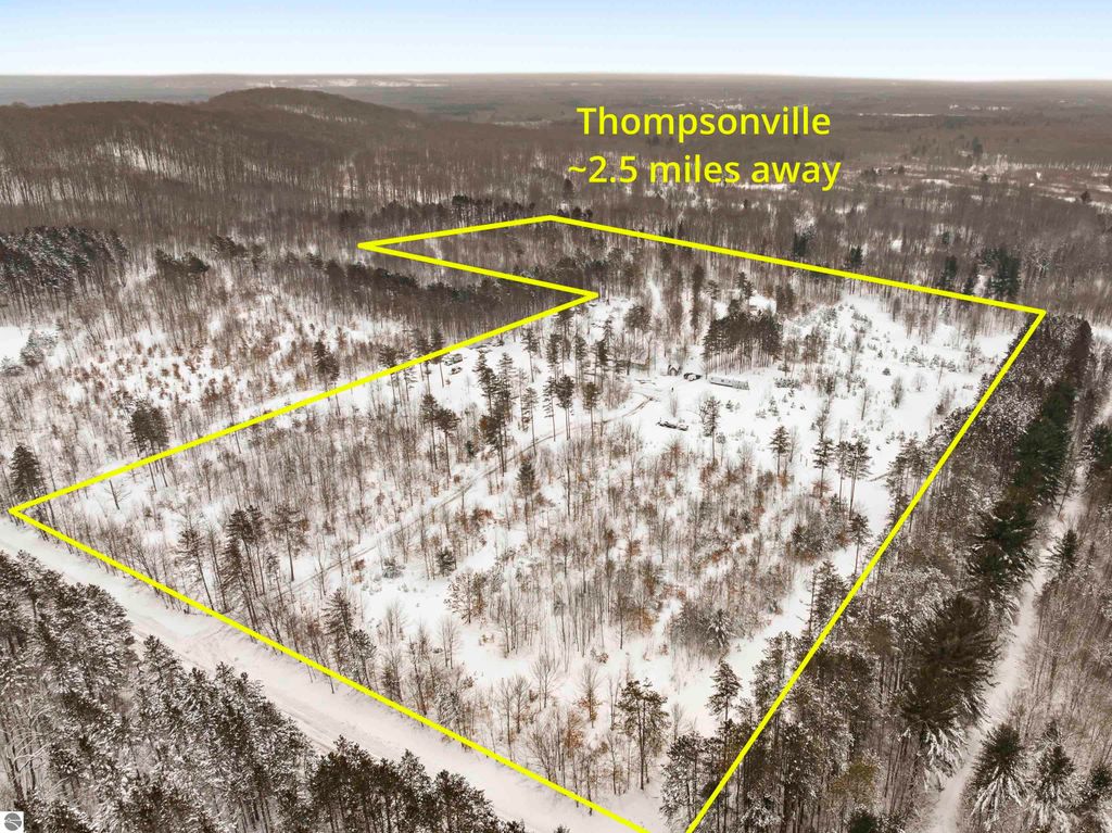Image 4 of property listing at 0000 Landis Road, Thompsonville, MI 49683