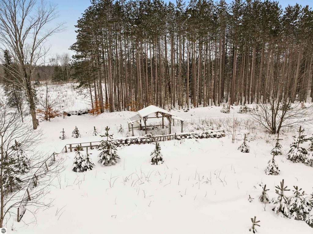 Image 7 of property listing at 0000 Landis Road, Thompsonville, MI 49683