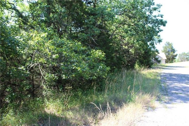 4 Beaver Circle, Holiday Island, AR 72631