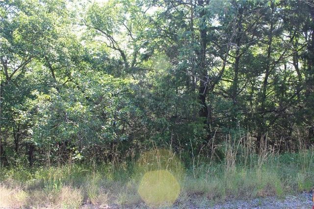 4 Beaver Circle, Holiday Island, AR 72631