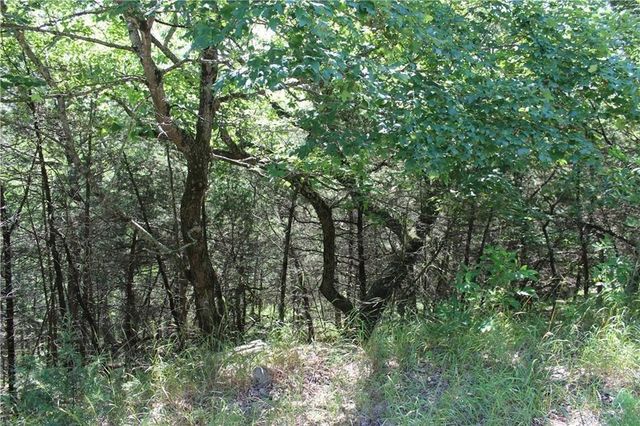 4 Beaver Circle, Holiday Island, AR 72631