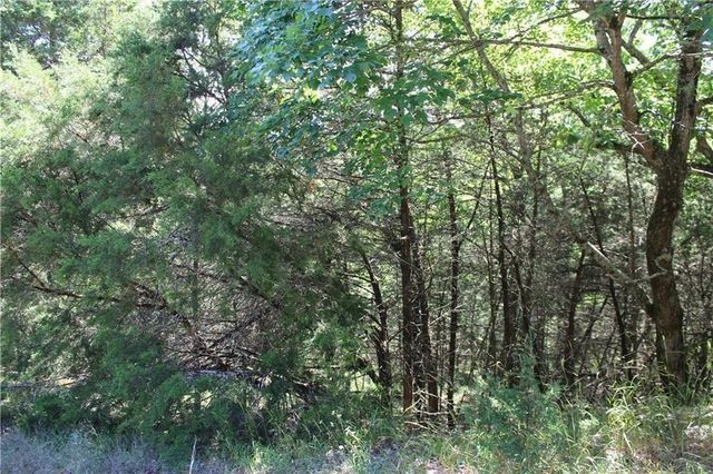4 Beaver Circle, Holiday Island, AR 72631
