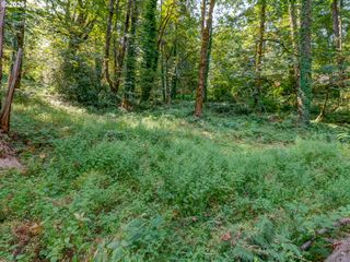 4899 ELVA Ln, Eugene, OR 97405