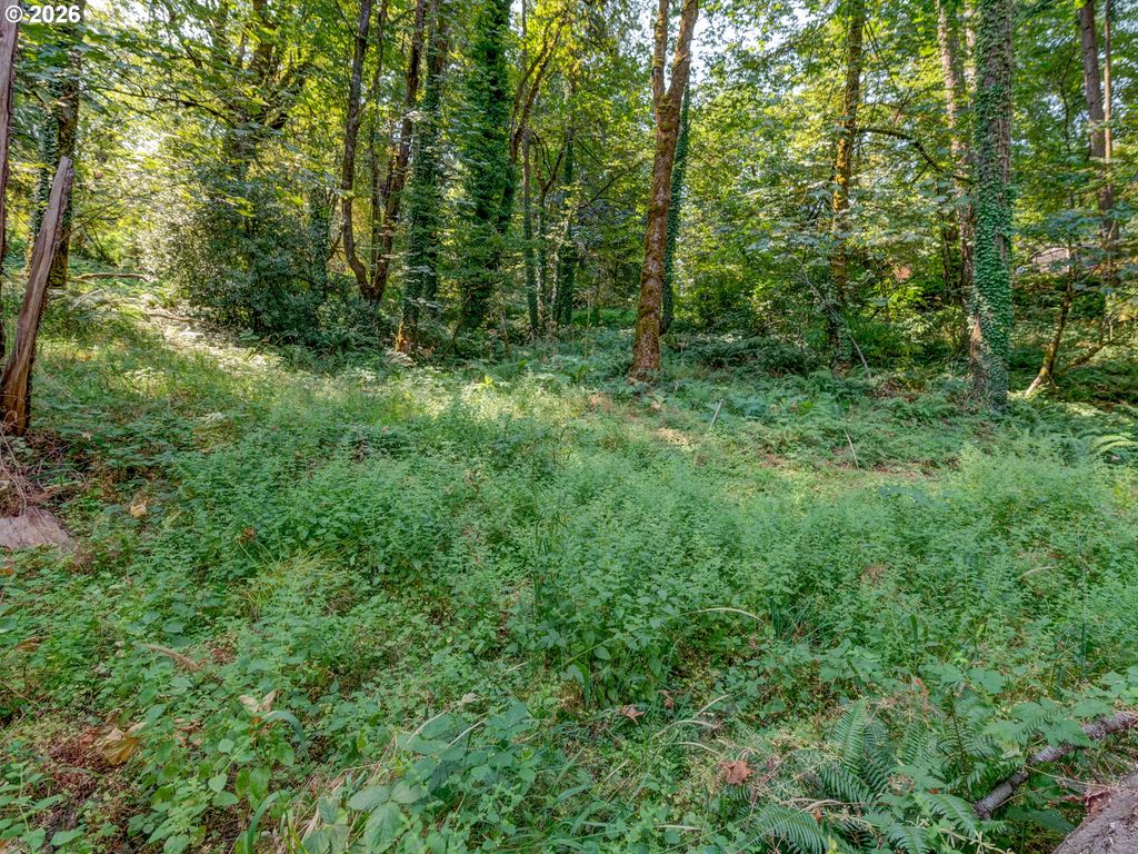 4899 ELVA Ln, Eugene, OR 97405