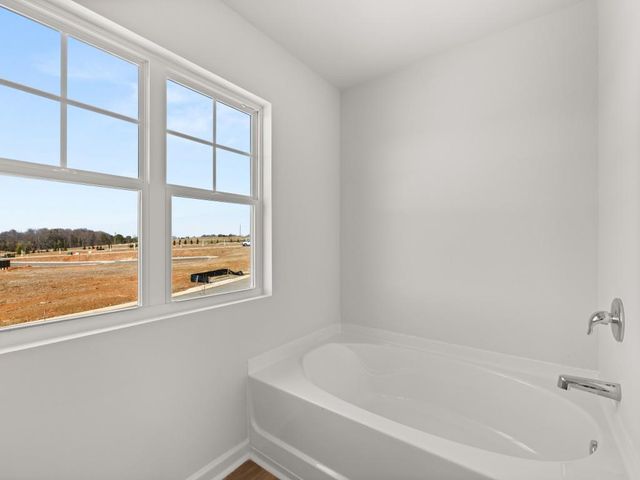 224 Deerberry Drive, Jasper, GA 30143