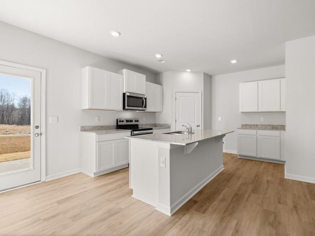 224 Deerberry Drive, Jasper, GA 30143