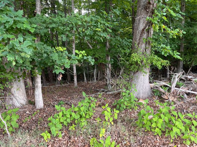 0 Parford LN, Moneta, VA 24121