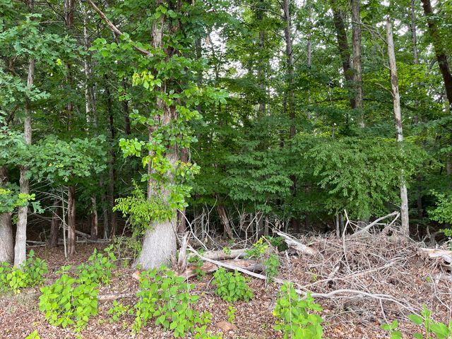0 Parford LN, Moneta, VA 24121