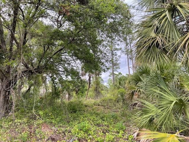 Lot 15 ANANAS ROAD, North Port, FL 34288