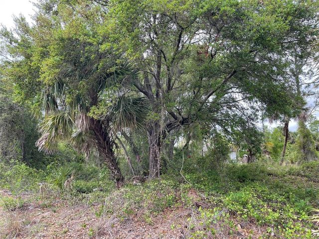 Lot 15 ANANAS ROAD, North Port, FL 34288