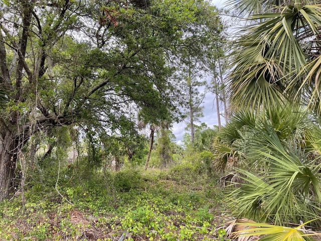 Lot 15 ANANAS ROAD, North Port, FL 34288