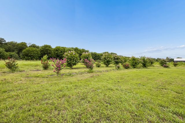62 Trailridge Drive, Melissa, TX 75454
