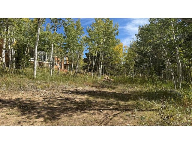 83 Peak View Dr, Black Hawk, CO 80422