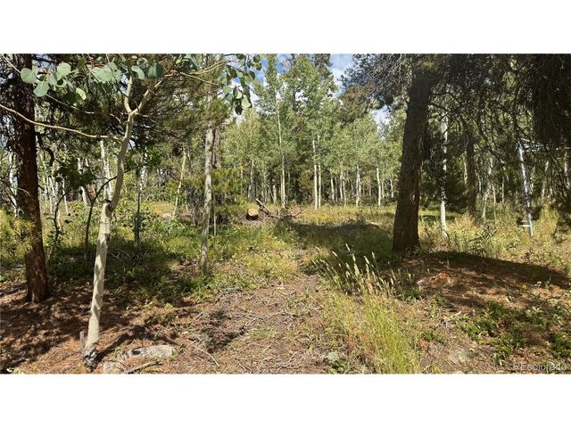 83 Peak View Dr, Black Hawk, CO 80422