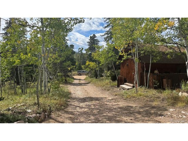 83 Peak View Dr, Black Hawk, CO 80422