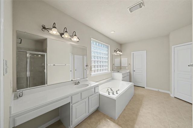 17422 Memorial Blossom Drive, Spring, TX 77379