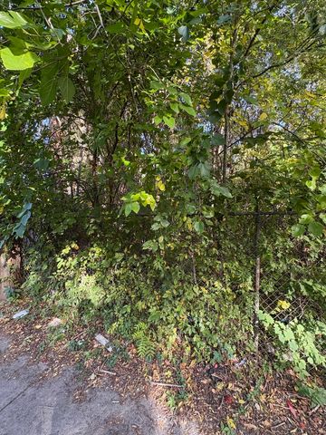 6705 S Parnell Avenue, Chicago, IL 60621