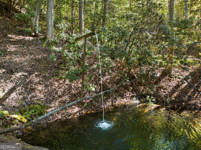 454 High Country Drive, Morganton, GA 30560