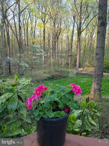4255 SHELTON DR, Pomfret, MD 20675
