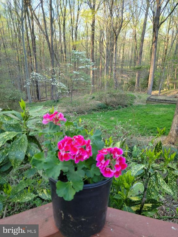 Image 35 of property listing at 4255 SHELTON DR, Pomfret, MD 20675