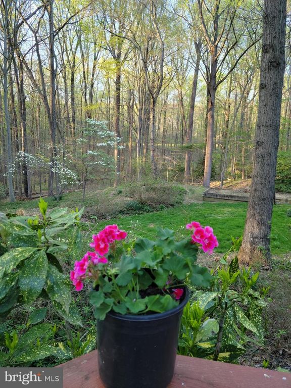 Image 36 of property listing at 4255 SHELTON DR, Pomfret, MD 20675