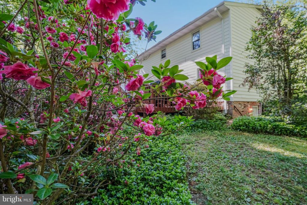 Image 4 of property listing at 4255 SHELTON DR, Pomfret, MD 20675
