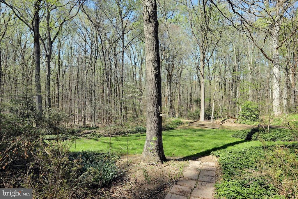Image 81 of property listing at 4255 SHELTON DR, Pomfret, MD 20675