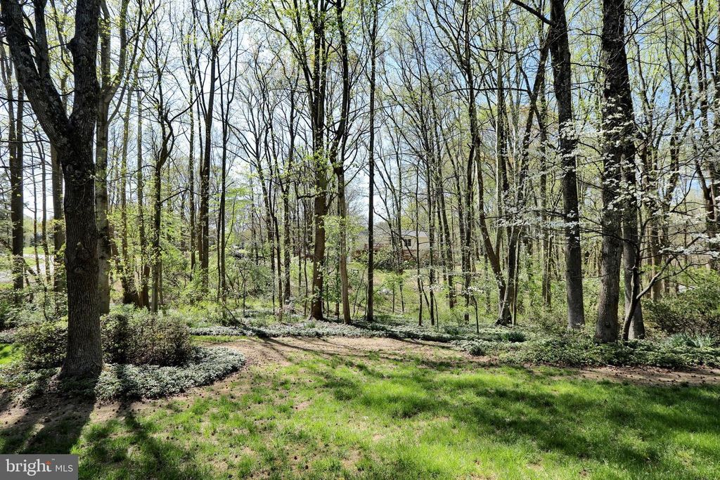 Image 82 of property listing at 4255 SHELTON DR, Pomfret, MD 20675