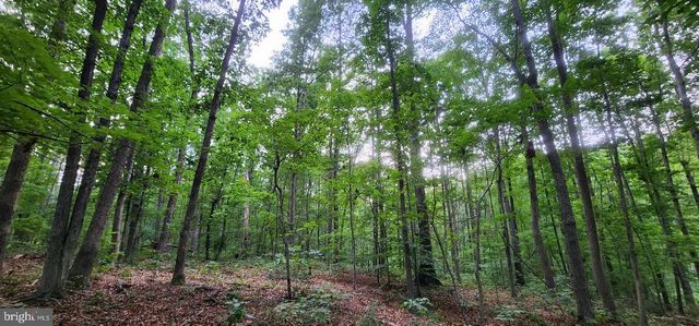 272 MOON SHADOW LN, Louisa, VA 23093