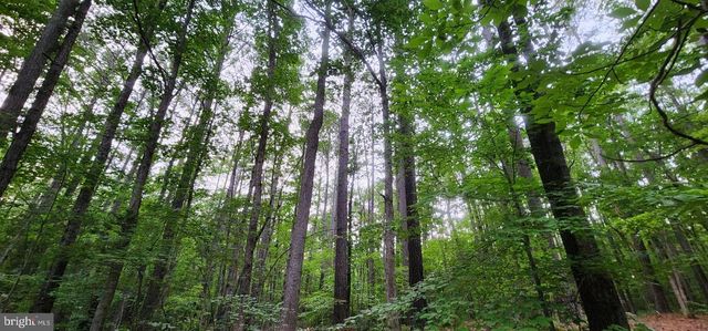 272 MOON SHADOW LN, Louisa, VA 23093