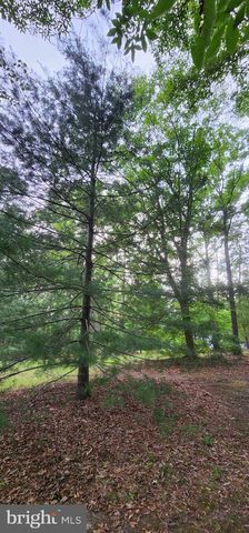 272 MOON SHADOW LN, Louisa, VA 23093