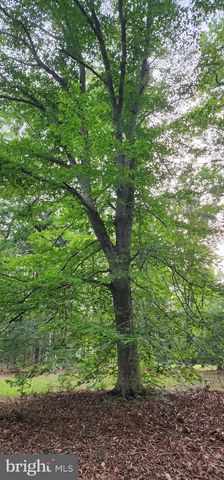 272 MOON SHADOW LN, Louisa, VA 23093