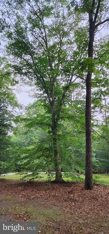 272 MOON SHADOW LN, Louisa, VA 23093