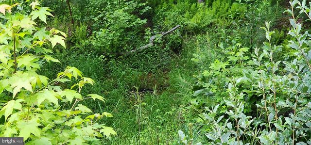 272 MOON SHADOW LN, Louisa, VA 23093