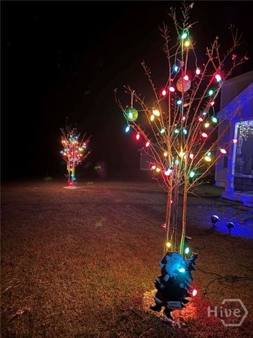 143 Nettleton Lane, Richmond Hill, GA 31324