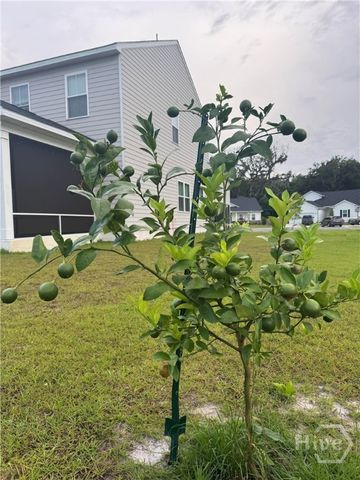 143 Nettleton Lane, Richmond Hill, GA 31324