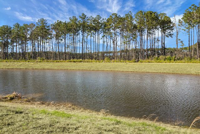 231 Cypress Preserve Boulevard, Moncks Corner, SC 29461