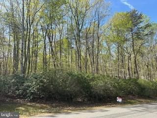 Lot 16 PINE HARBOUR DRIVE, Mineral, VA 23117