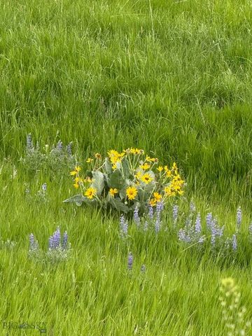 855 Deer Path, Bozeman, MT 59718