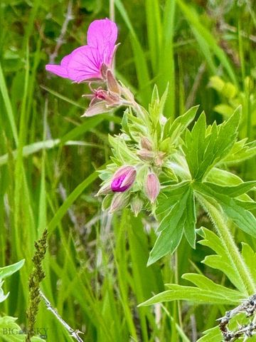 855 Deer Path, Bozeman, MT 59718