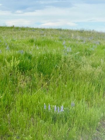 855 Deer Path, Bozeman, MT 59718