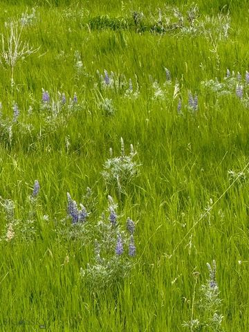 855 Deer Path, Bozeman, MT 59718