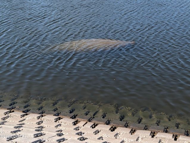 500 S Beach St Apt C1, Daytona Beach, FL 32114