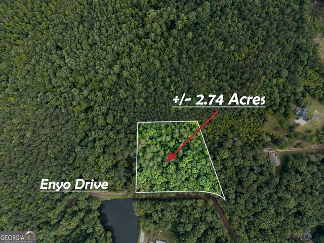 1988 N Walkers Mill Road, Griffin, GA 30223
