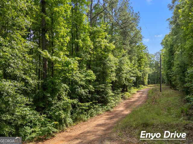 1988 N Walkers Mill Road, Griffin, GA 30223