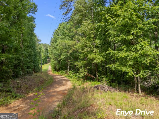 1988 N Walkers Mill Road, Griffin, GA 30223