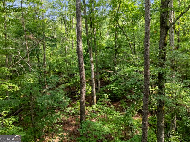 1988 N Walkers Mill Road, Griffin, GA 30223
