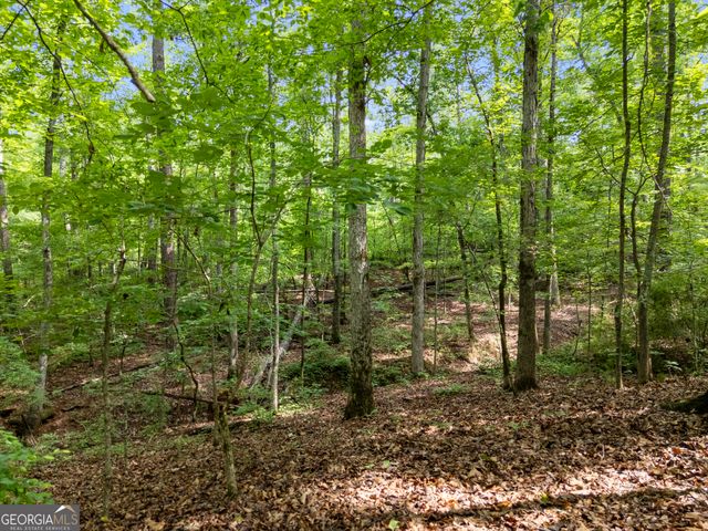 1988 N Walkers Mill Road, Griffin, GA 30223