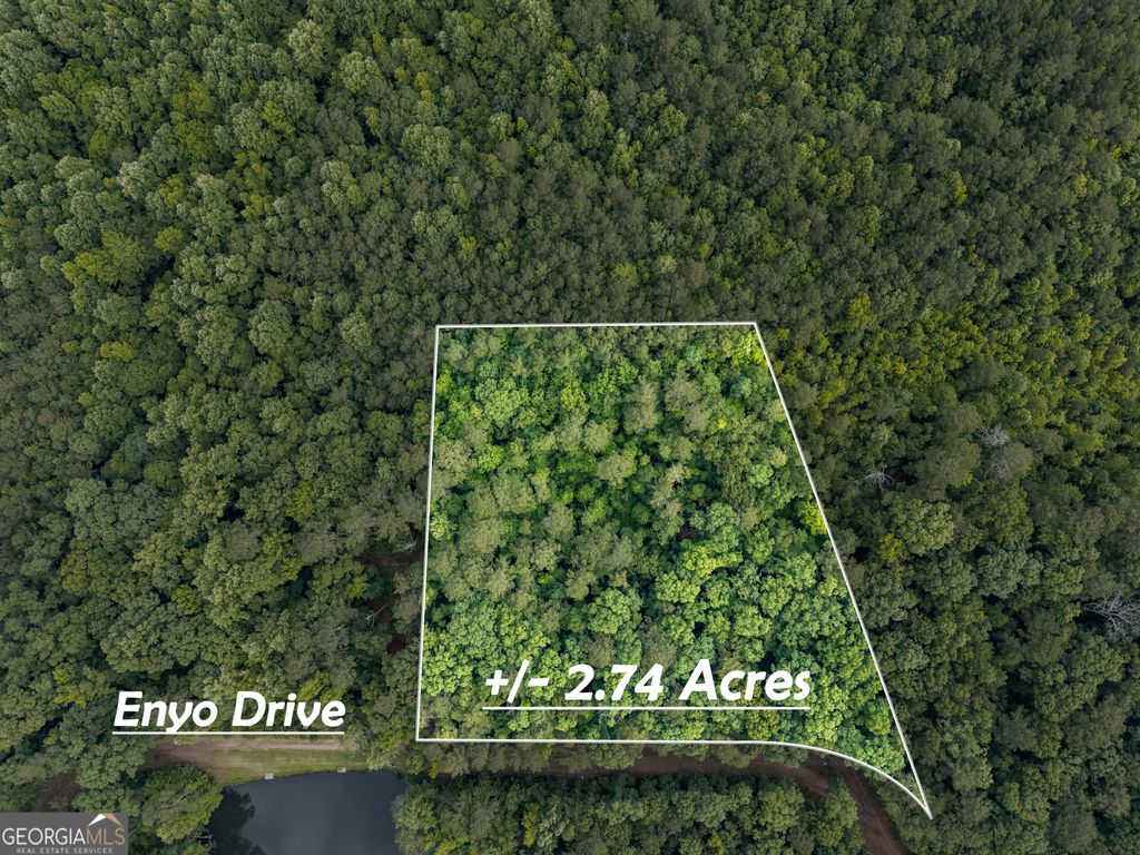 1988 N Walkers Mill Road, Griffin, GA 30223