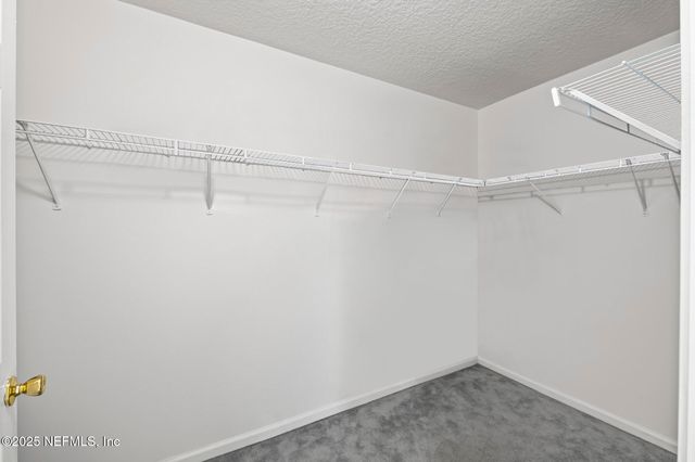 3174 HIGHLAND GROVE Drive, Orange Park, FL 32065